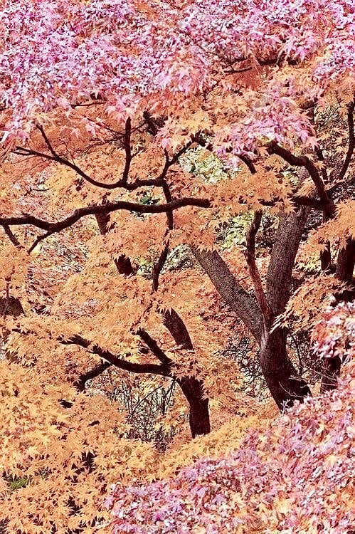 gratitude & glow: the soft-girl reset we all need this fall 🍁